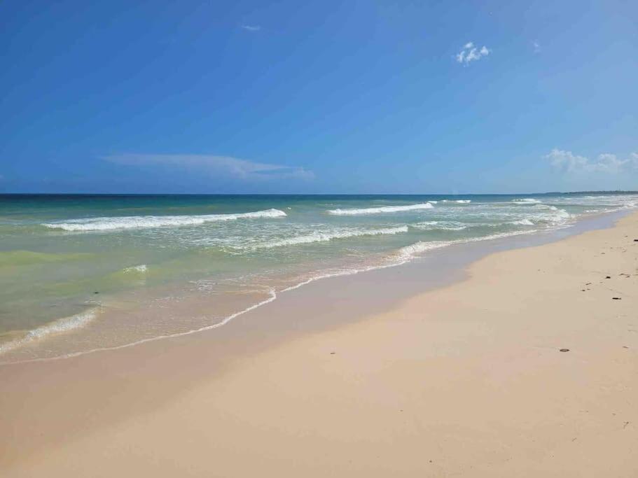 Luxury 5-Br Beachfront Home In Tulum Casa Sofia Gato Dış mekan fotoğraf