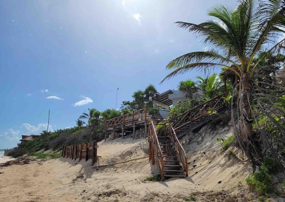 Luxury 5-Br Beachfront Home In Tulum Casa Sofia Gato Dış mekan fotoğraf