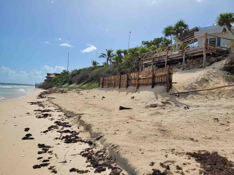 Luxury 5-Br Beachfront Home In Tulum Casa Sofia Gato Dış mekan fotoğraf